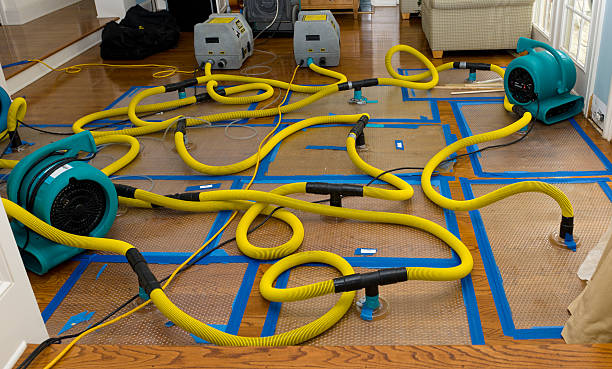 Professional Water Extraction technician working in Thompsons, TX